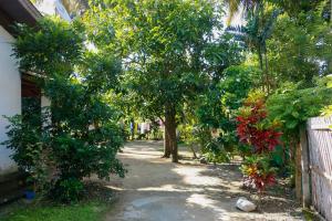 a garden with trees and a dirt road at Dihein surf Hostel in Ahangama