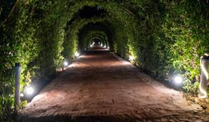 Zahrada ubytování Fox Resort El Gouna Stay