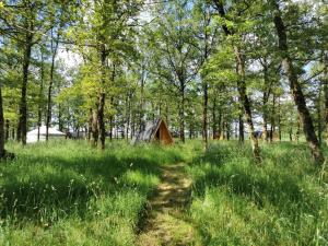 a trail leading to a tent in a forest at La Parenthèse Meslandaise in Mesland