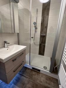 a bathroom with a shower and a sink and a toilet at Ferienwohnungen Historische Post in Bad Liebenstein +108 photos