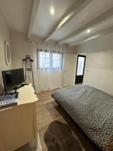 ein Schlafzimmer mit einem Bett, einem Schreibtisch und einem Fernseher in der Unterkunft Timounyan T1 N24 centre ville Animaux acceptés in Arcachon