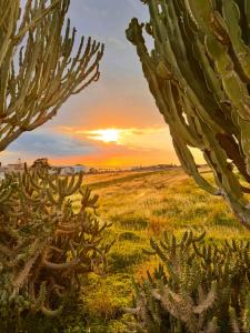 Paesaggio naturale nelle vicinanze dell'affittacamere