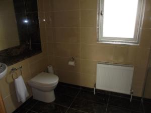 un bagno con un water, un lavandino e una finestra di Cliff Haven a Derren