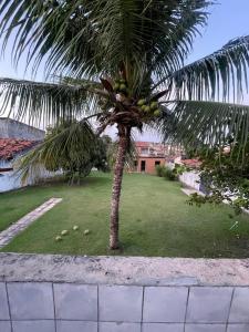 una palma con un mucchio di frutta sopra di Casa ao ar livre ad Aracaju