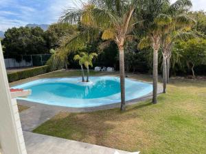 een zwembad met twee palmbomen in een tuin bij yalwa house in Sweet Valley