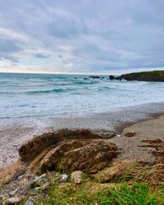 Gallery image of Ivy Rose Cabin No Hot Tub in Bude +3 photos