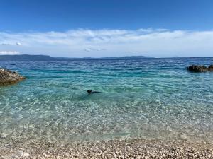 a person swimming in the water near a beach at Villa Castelina Part II of twin house in Vicani