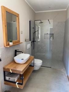 a bathroom with a sink and a shower and a toilet at Villa Castelina Part II of twin house in Vicani
