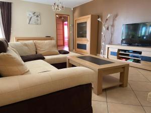 a living room with a couch and a tv at Villa Saint Laurent D'Aigouze in Saint-Laurent-dʼAigouze