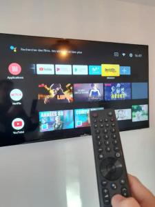 a person holding a remote control in front of a television at Promotion du Jour - Studio Le Rosier - in Deuil-la-Barre