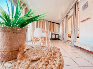 Posezení v ubytování Appartement Terrasse vue Mer