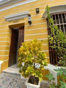 Exteriér nebo vchod ubytování CASA PACHITA Getsemani