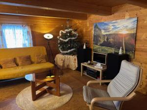 a living room with a couch and a christmas tree at Na samotě u lesa in Vsetín