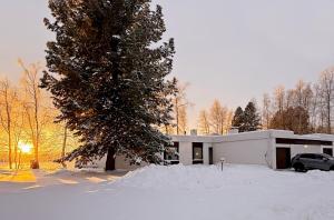 Stella Borealis om vinteren