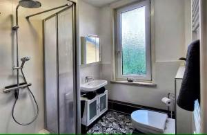 a bathroom with a shower and a sink and a toilet at HIRSCH FeWo Burgberg - Parkplatz - Zentral in Bad Harzburg