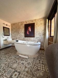 Koupelna v ubytování Cabañas, Suites y Habitaciones Rancho San Jorge + 37 fotografií