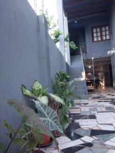 Zahrada ubytování Departamentos Florida