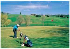 a man and his dog on a golf course at La longère T3 - Au Golf de Bellême - Parking - Wifi - 4 Pers in Bellême