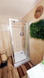 a shower with a glass door in a bathroom at Casa Nicolae in Brăila +21 photos