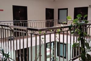 ニューデリーにあるHotel Sky Viewのバルコニー(たくさんの植物付)