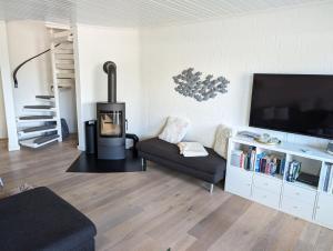 TV a/nebo společenská místnost v ubytování Schlei-Lounge Kappeln