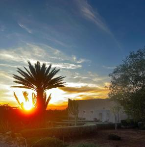 a sunset with a palm tree in front of a house at Maison Mimosa, lovely 3 bedroom villa with a Large pool in Essaouira