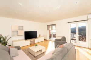 TV a/nebo společenská místnost v ubytování Apartments Oriana