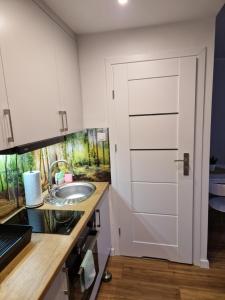 Kuchyň nebo kuchyňský kout v ubytování Apartament przy Starym Mieście + 3 fotografie