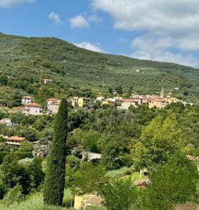 a village on a hill with houses and trees at Casetta n.2 con piscina in Sarola