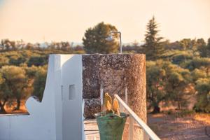Fotografie z fotogalerie ubytování Villa Ceci Dimora di Storie v destinaci Andria