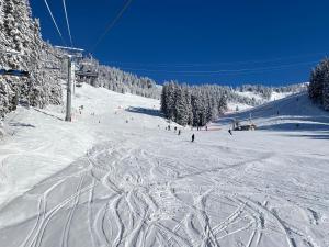 Apt Sakura - Le Grand Tetras om vinteren