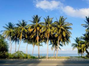 拉穆环礁Calm Beach Inn的一条路上的一群棕榈树