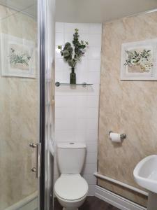a bathroom with a toilet and a sink at Apple Blossom Guesthouse in Rempstone