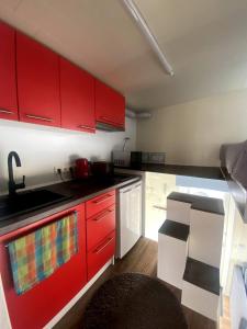 Kuchyň nebo kuchyňský kout v ubytování Tiny Home