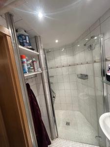 a bathroom with a shower and a sink at Zauberblick in Lindenfels