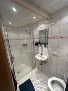 a bathroom with a shower and a sink and a toilet at Zauberblick in Lindenfels