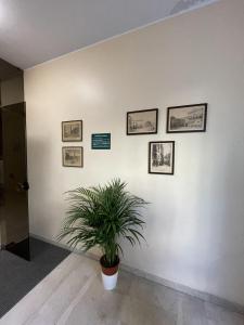 Gambar di galeri bagi A UN PASSO DALL'OSPEDALE di Padova