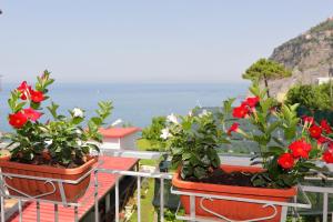 Tres macetas de flores en un balcón con el océano en Casa Mike, en Meta