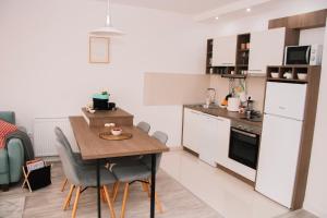 Kuchyň nebo kuchyňský kout v ubytování Blue Apartment