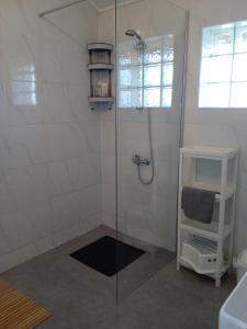 una doccia con una porta in vetro in un bagno di Maison de vacances Sol & Piper a Gombergean Altre 43 foto