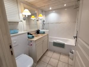 Un baño con inodoro, lavabo y ducha. en Studio les Pieds dans L'eau au bord du lac d'Annecy, en Duingt 49 fotos más