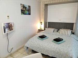 Un dormitorio con una cama con dos almohadas encima. en Studio les Pieds dans L'eau au bord du lac d'Annecy, en Duingt