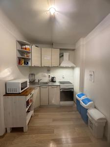Kuchyň nebo kuchyňský kout v ubytování Peaceful Stay in Central Tallinn