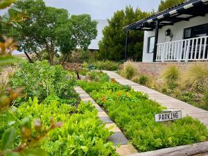 a garden with a sign that reads playing at Salt & Pepper in Mossel Bay +24 photos