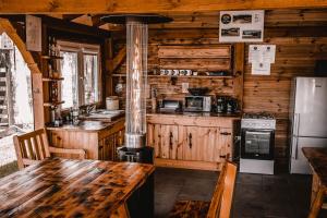 a kitchen with a stove and a table in a cabin at Oaza Spokoju 1 in Wersk