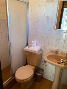 Koupelna v ubytování Hospedajes Millaray
