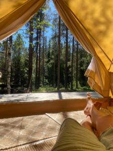 a person laying in a tent looking out of a window at Foskvallen Lodge in Särna +11 photos