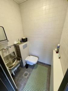 a small bathroom with a toilet and a sink at Cozy Cabin with a Beautiful Sauna Near Lake in Lappeenranta