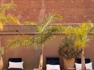 eine Gruppe Palmen vor einem Gebäude in der Unterkunft Riad Rafaele & SPA in Marrakesch + 86 Fotos