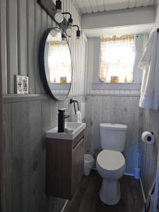 un bagno con un water, un lavandino e uno specchio di Fireside Lodge a Atlanta